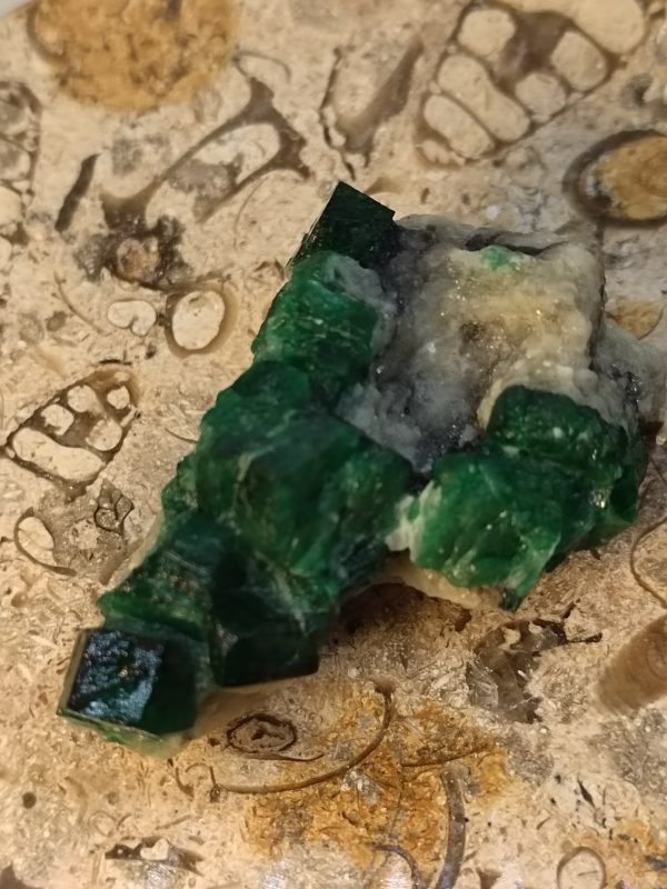 Specimens of Emerald