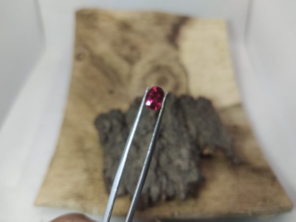 Mozambique ruby pigeon blood only heated