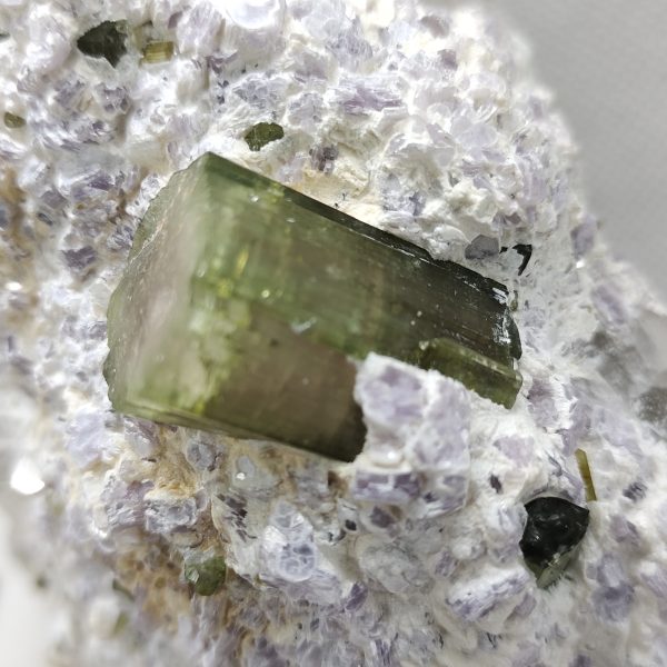 Paprock Afghanistan tourmaline