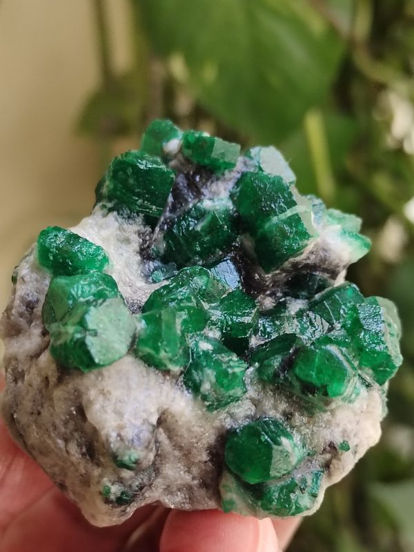 Specimens of Emerald - Image 2