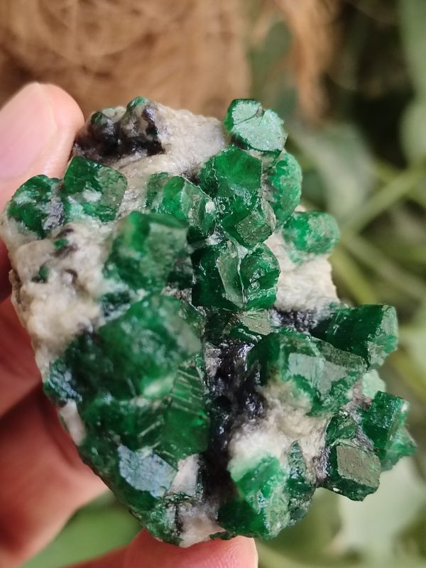 Specimens of Emerald - Image 5