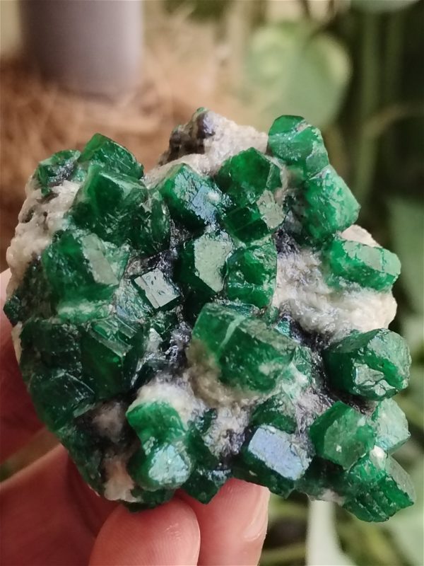 Specimens of Emerald - Image 6