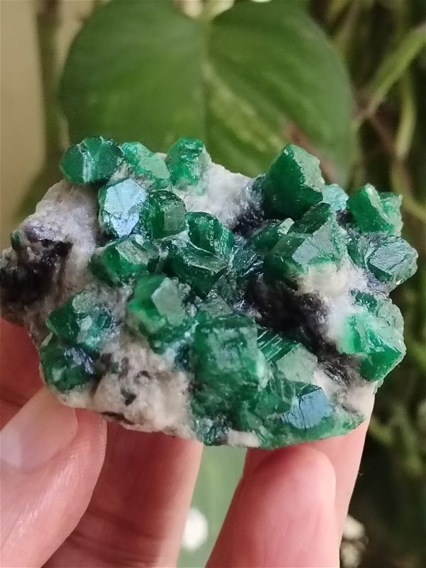 Specimens of Emerald - Image 7