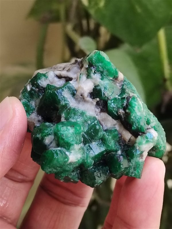 Specimens of Emerald - Image 8